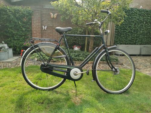 GAZELLE HERENFIETS