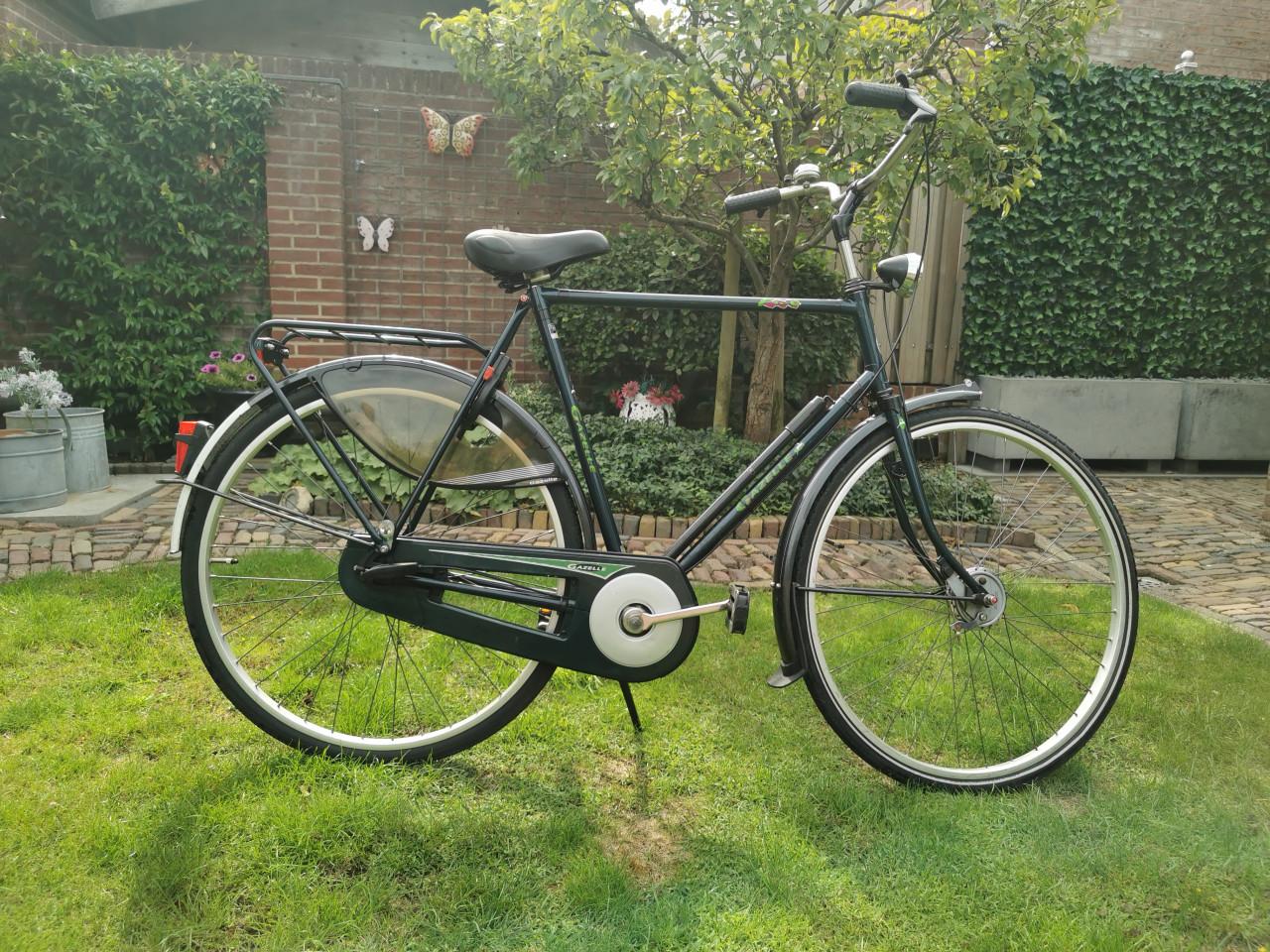 GAZELLE HERENFIETS