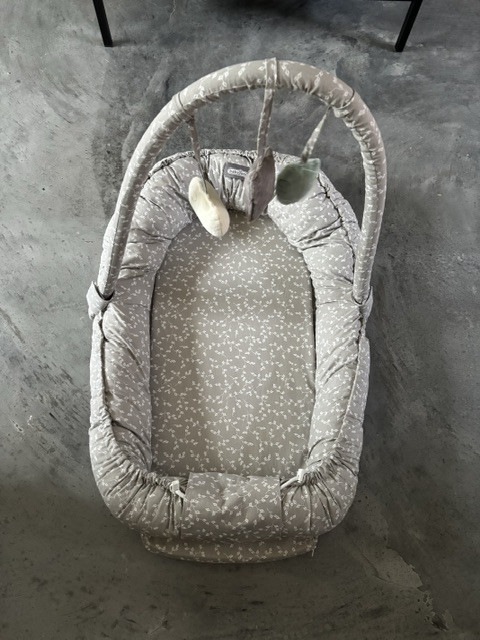 Babynestje