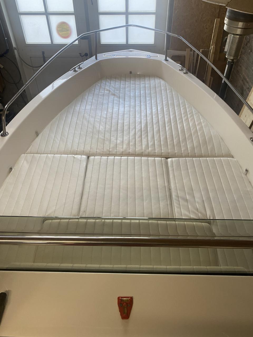 Elan 495 boot met 60pk Suzuki 4 takt en trailer