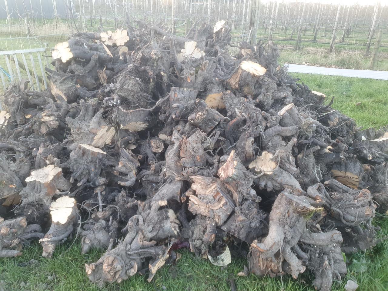 Kachelhout stobben perenhout