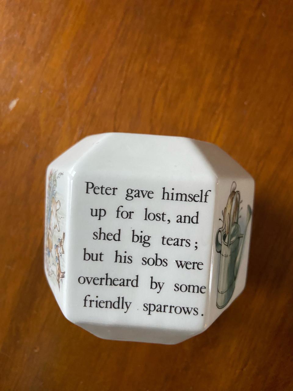 Spaarpot Wedgwood Peter Rabbit