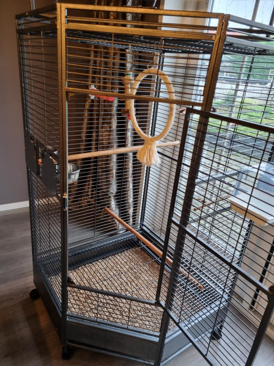 Papegaaien kooi hoek