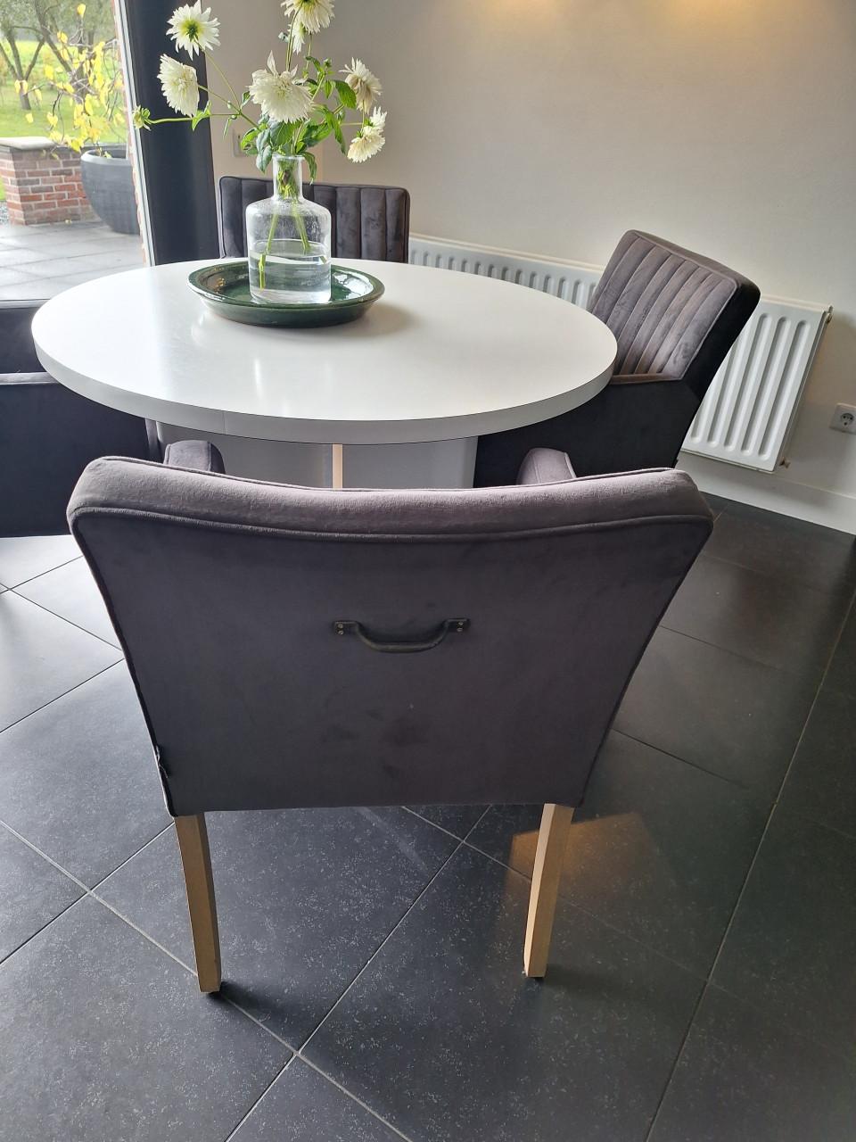 Landelijke Eetkamerstoelen grijs/velvet