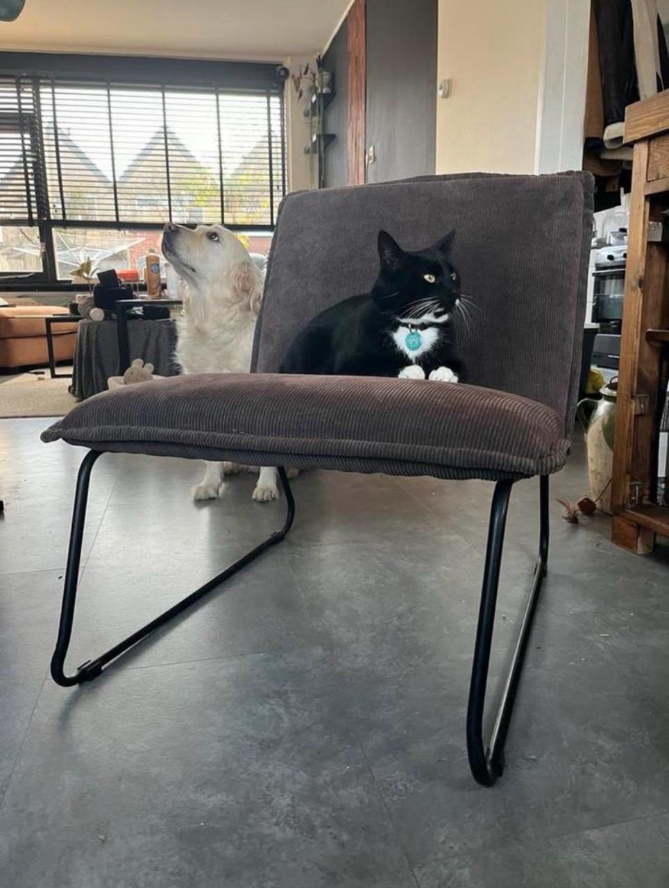 Fatteau Ribcord Stoel - Grijsbruin