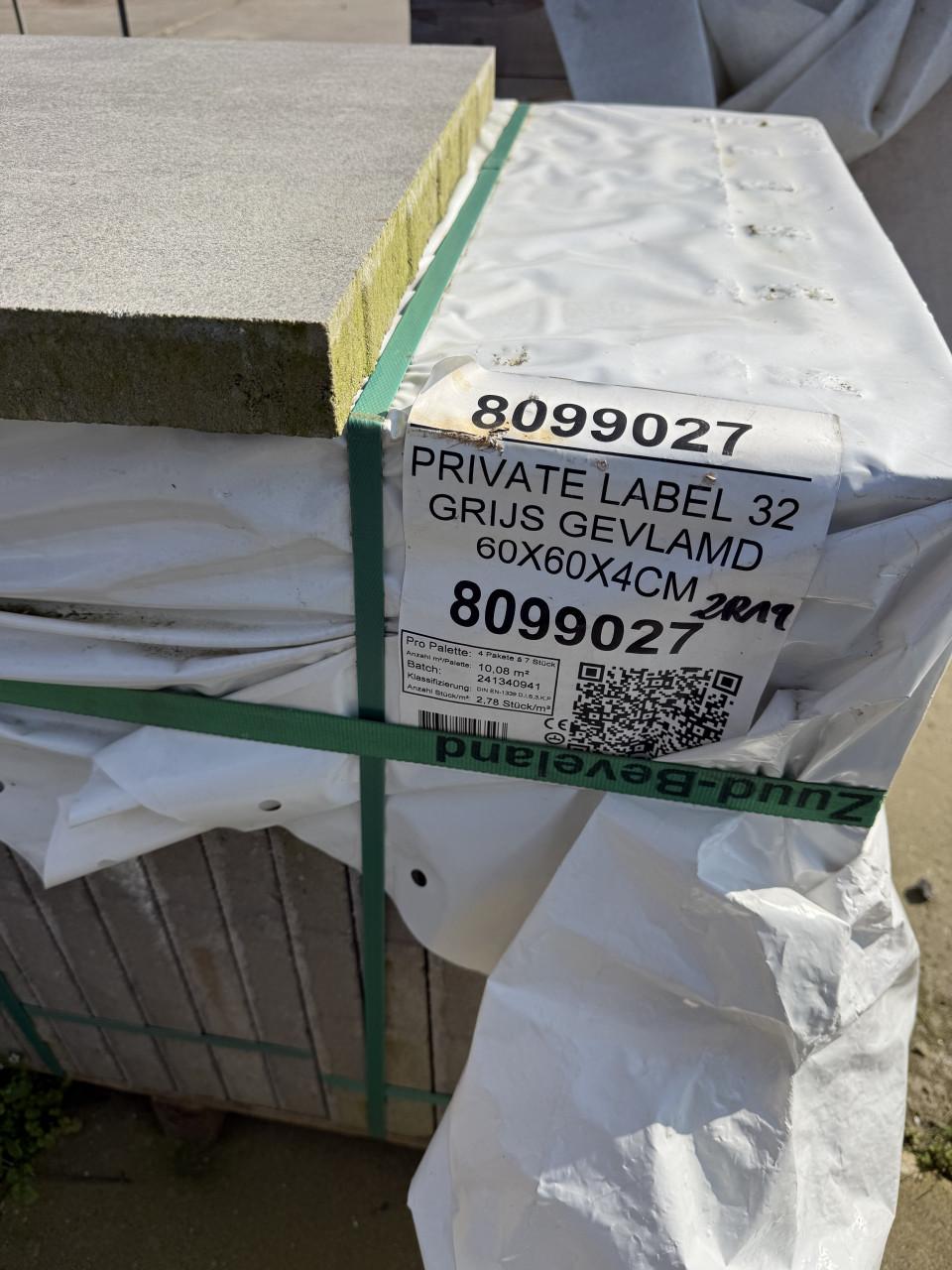 BETONTEGEL 32 ZWITSERLAND 60X60X4 CM LICHTGRIJS GEVLAMD
