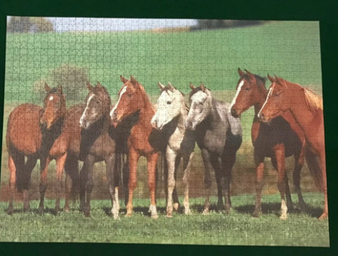 Ravensburger puzzel 1500 stukjes