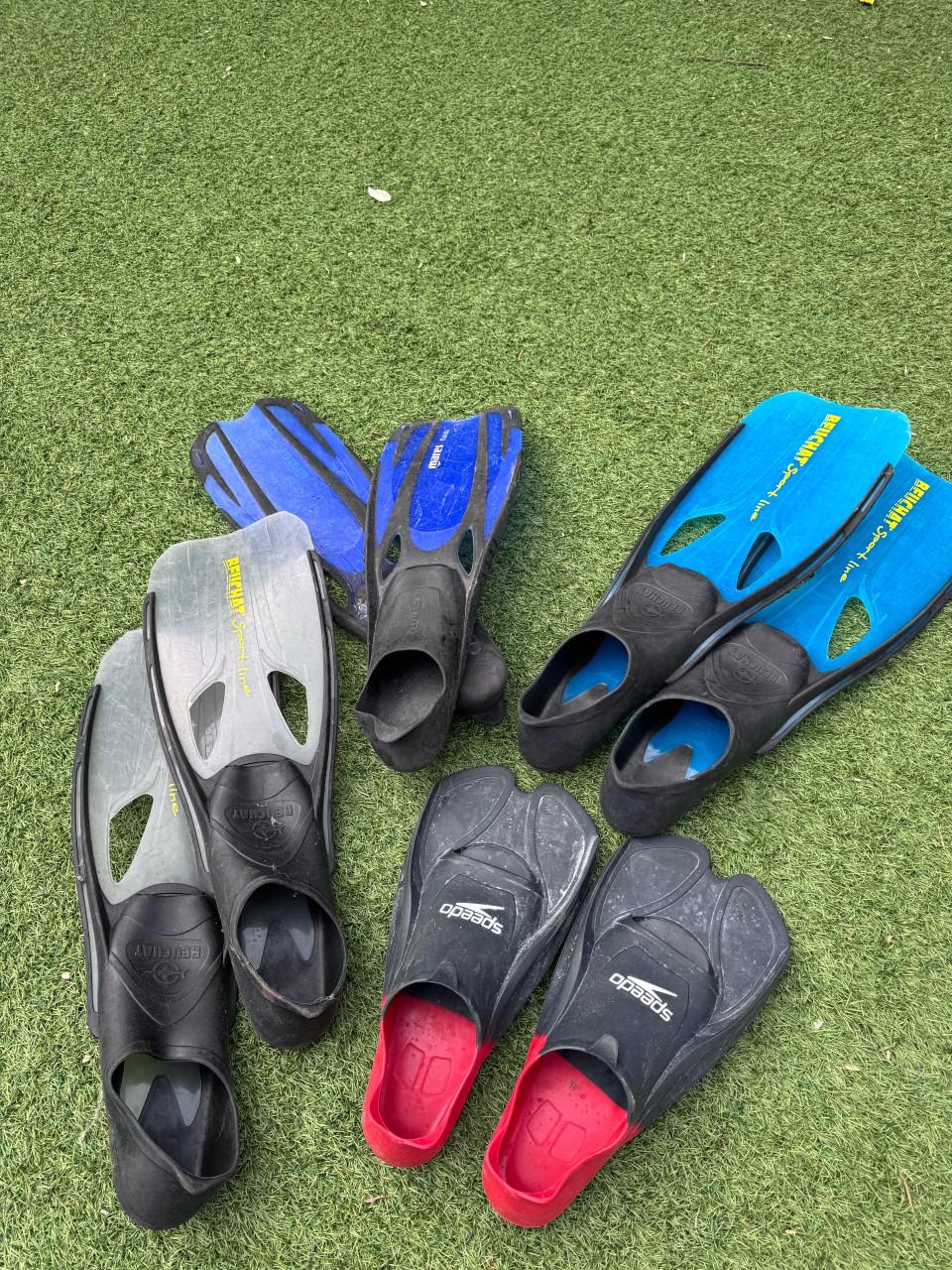 Flippers voor het hele gezin