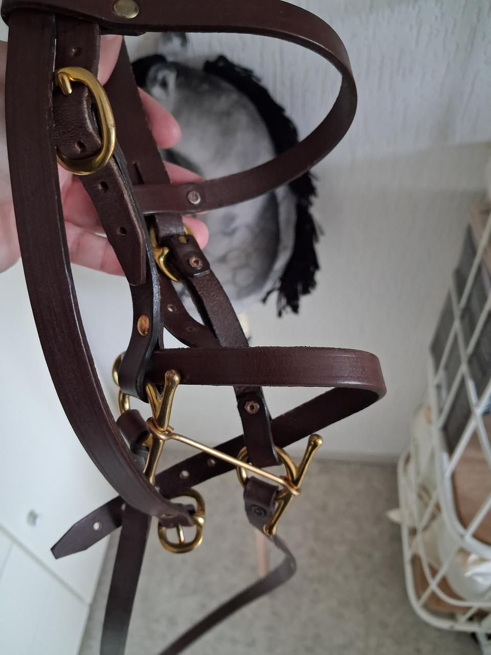 Hobby horse met spullen