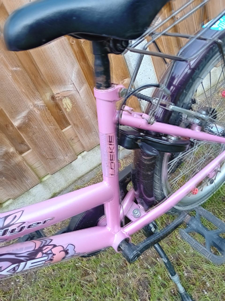 Meisjesfiets 22 inch