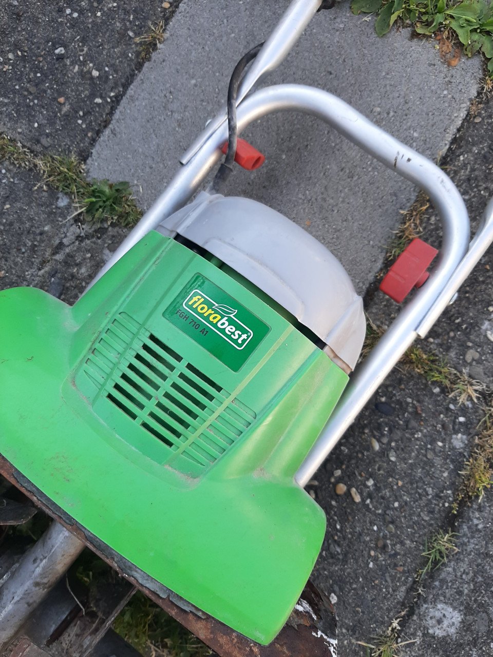 Tuinfrees
