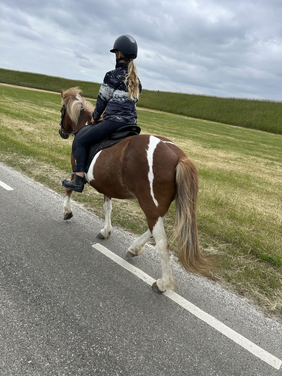 # Equi Pride # grondwerk, NH, rijden, gedrag etc.