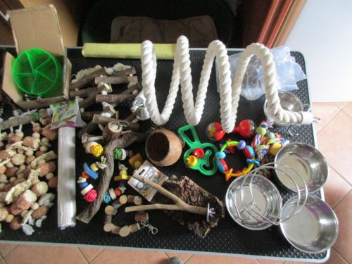 Papagaaien benodigdheden