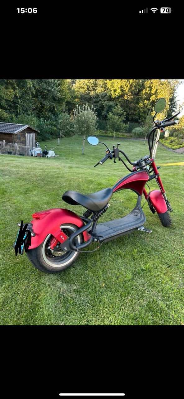 E- Chopper mangostone m1