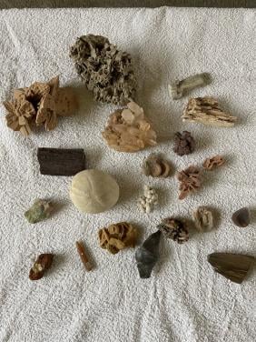 Mineralen en fossielen