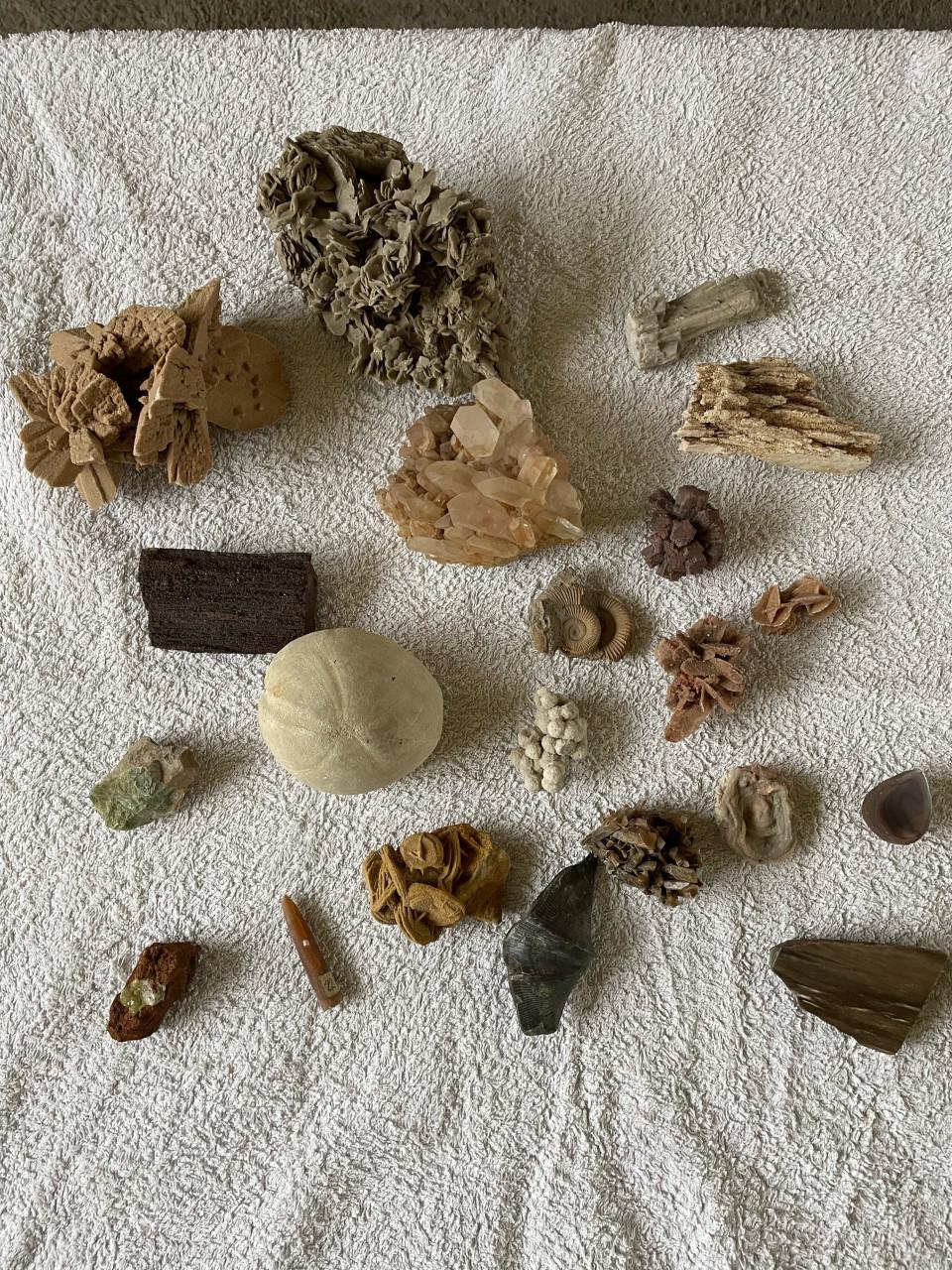 Mineralen en fossielen