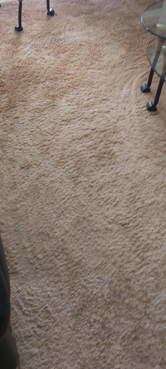 Vloerkleed 340x220cm crème gemelleerd