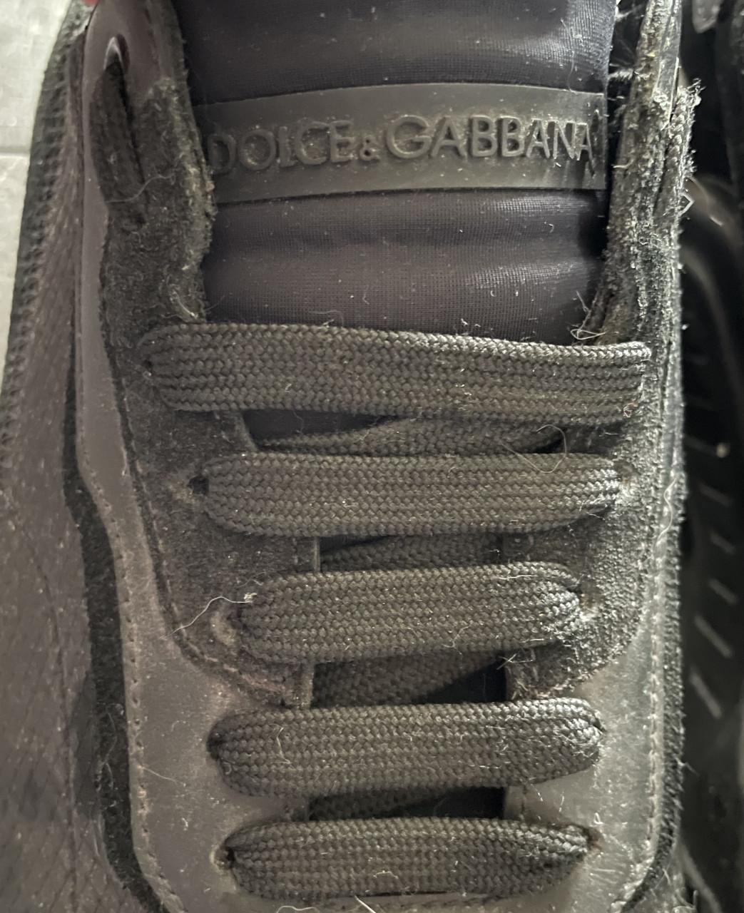 Dolce and Gabbana sneakers