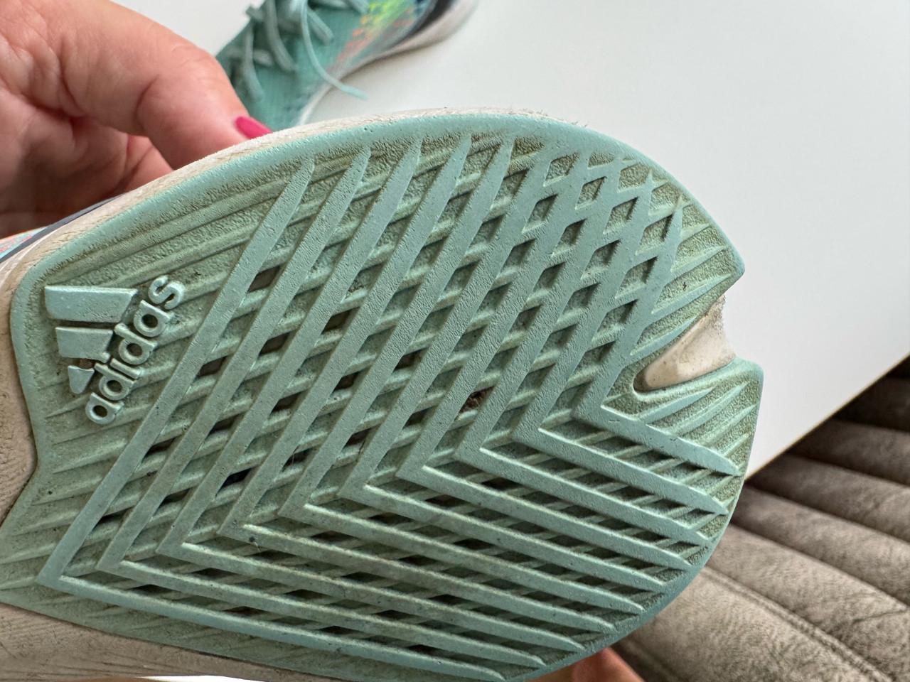 Zaal of gym schoenen maat 45,5