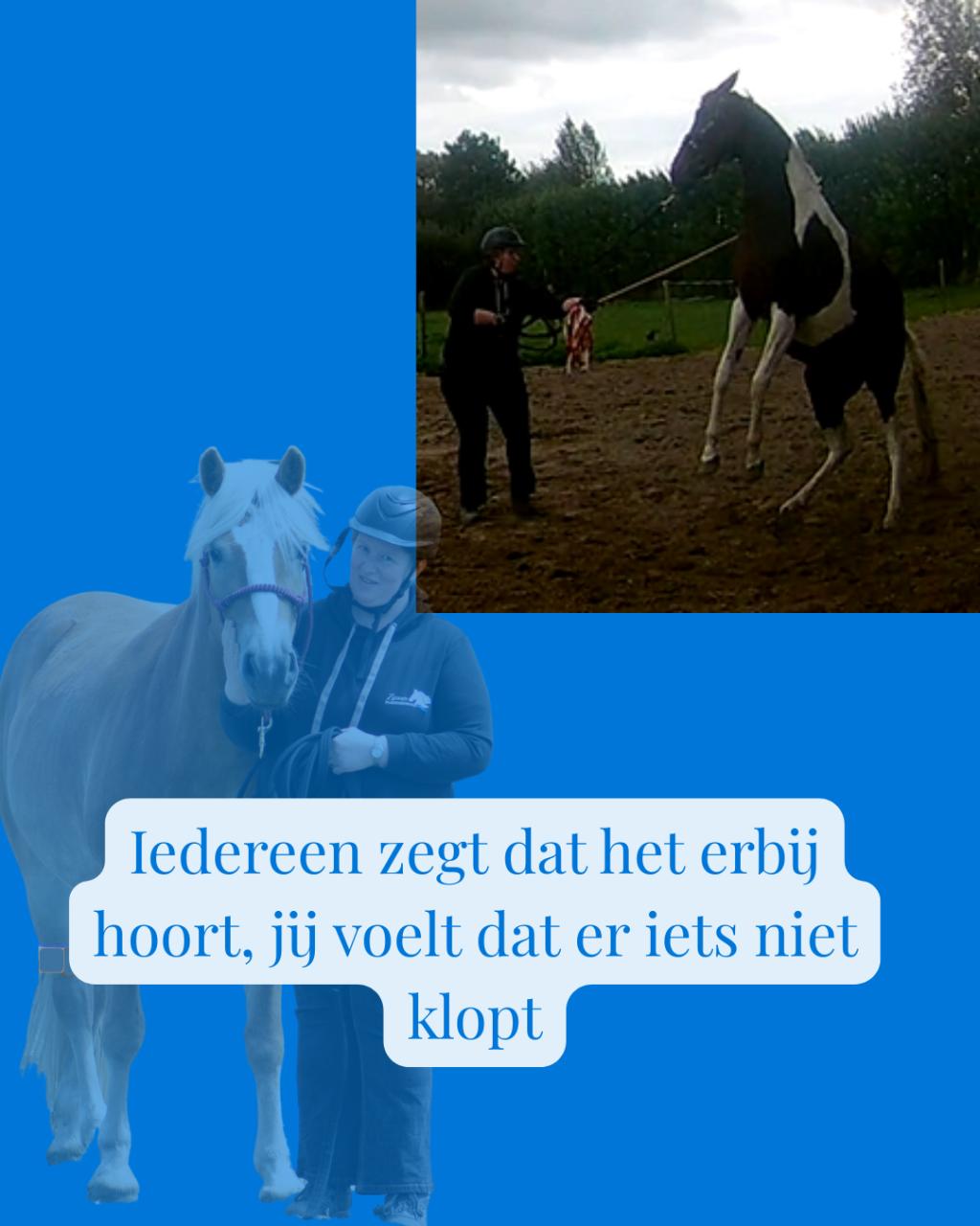 Wie heeft er hulp nodig, jij of je paard?!