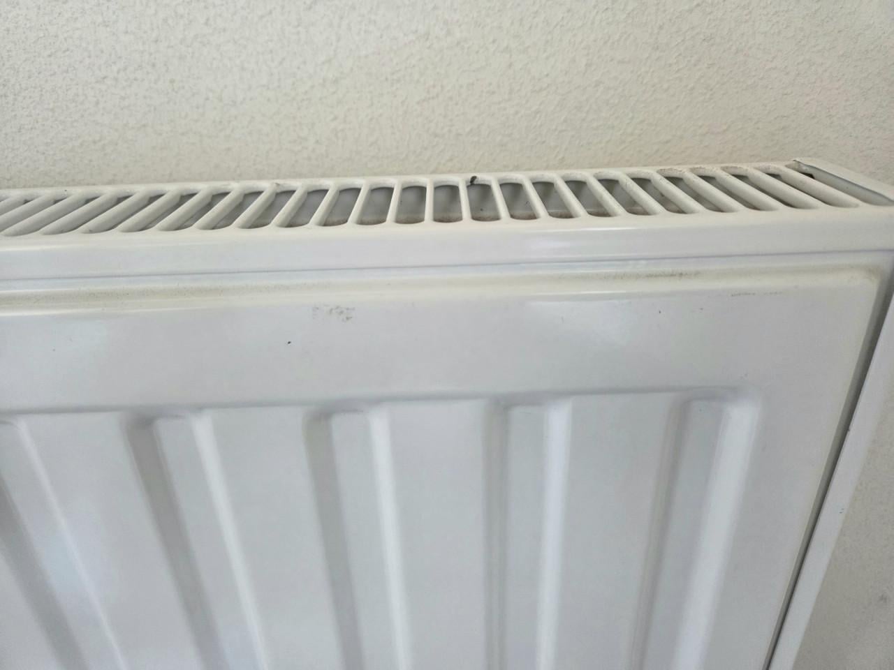 Paneelradiator 150 x 50