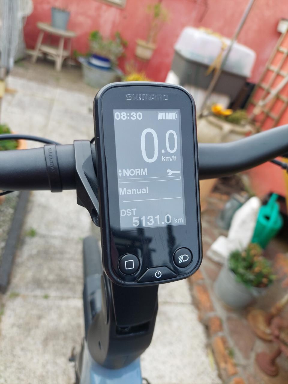 Gazelle Chamonix T10 grey/blue 53