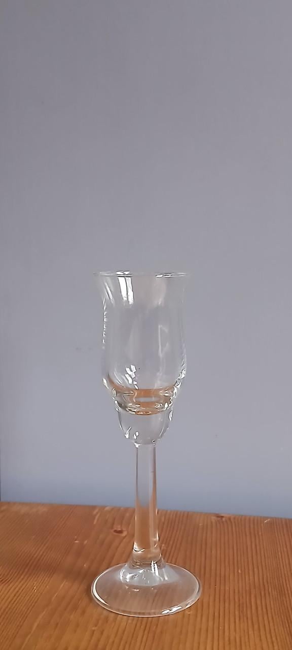 Set borrel/shotglaasjes