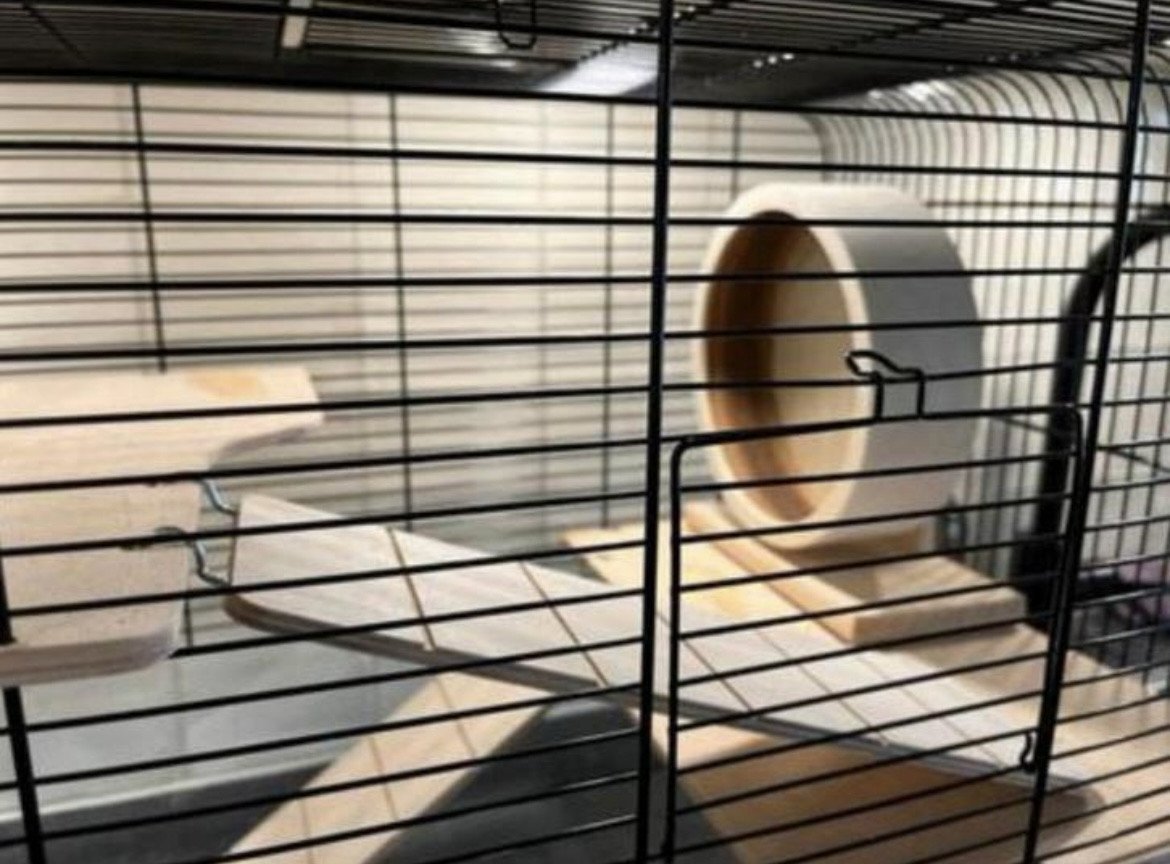 Hamsterkooi