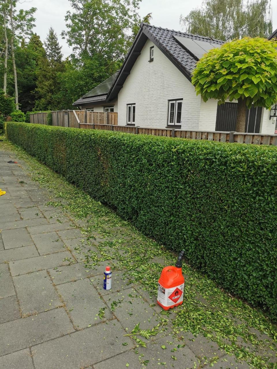 Zoekt u een betrouwbare Hovenier ?