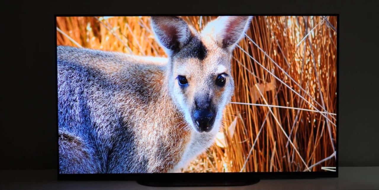 Sony Oled 48 inch 122cm 100HZ 4K Ultra UHD SMART-Android tv