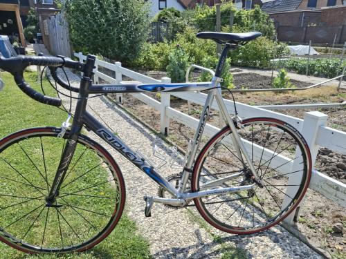 Te koop ridley
