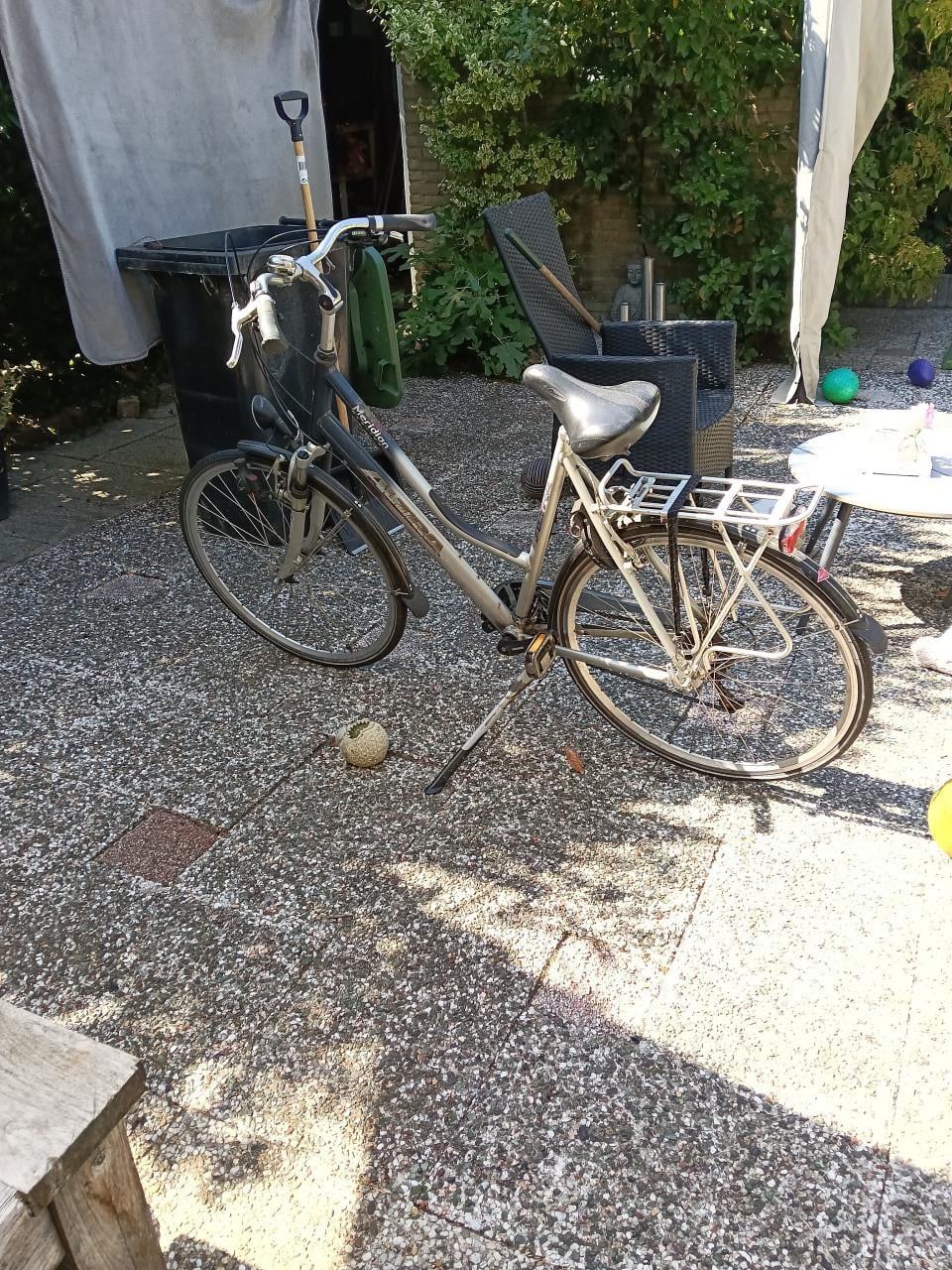 Damesfiets Altra meridion