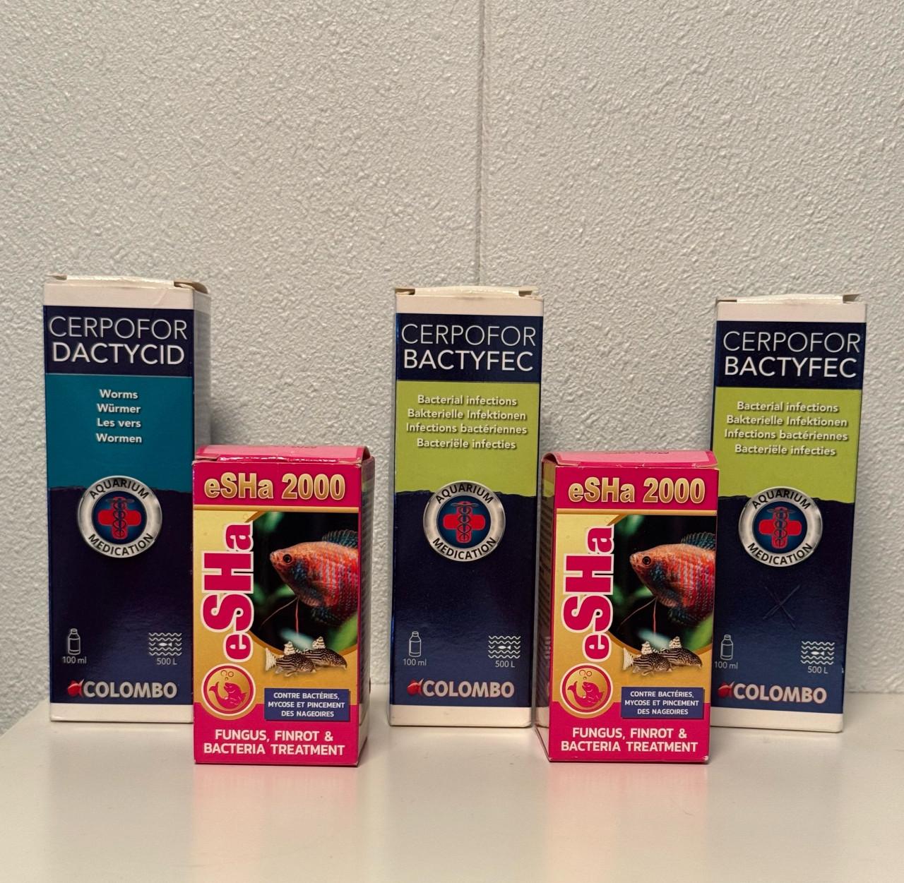 Aquarium en toebehoren