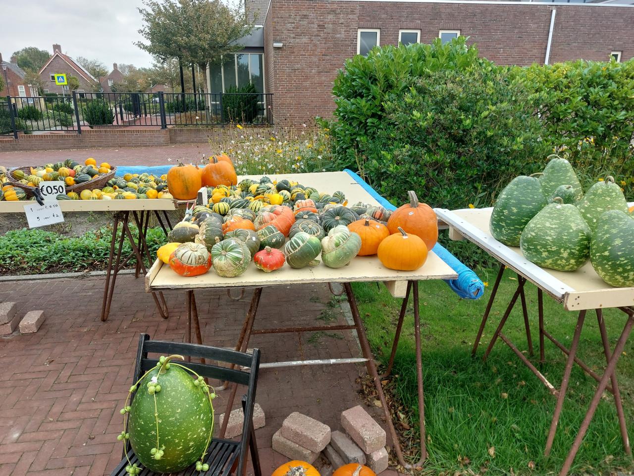 Pompoenen
