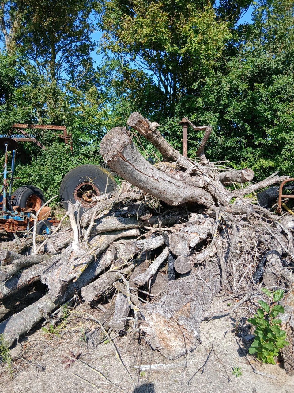 Haardhout circa 10m³