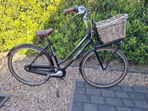 Gazelle Miss Grace 28inch