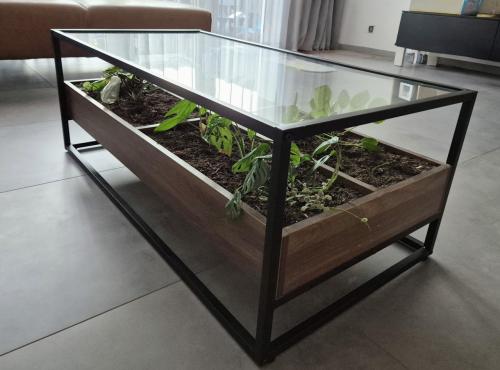 Unieke Zwart metalen Salontafel met glasplaat en plantjes