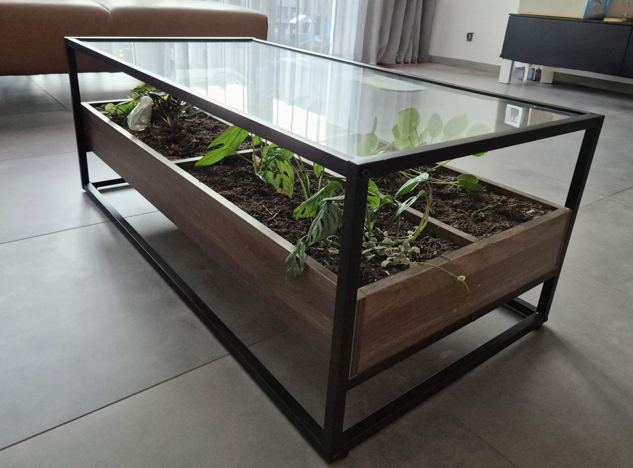 Unieke Zwart metalen Salontafel met glasplaat en plantjes