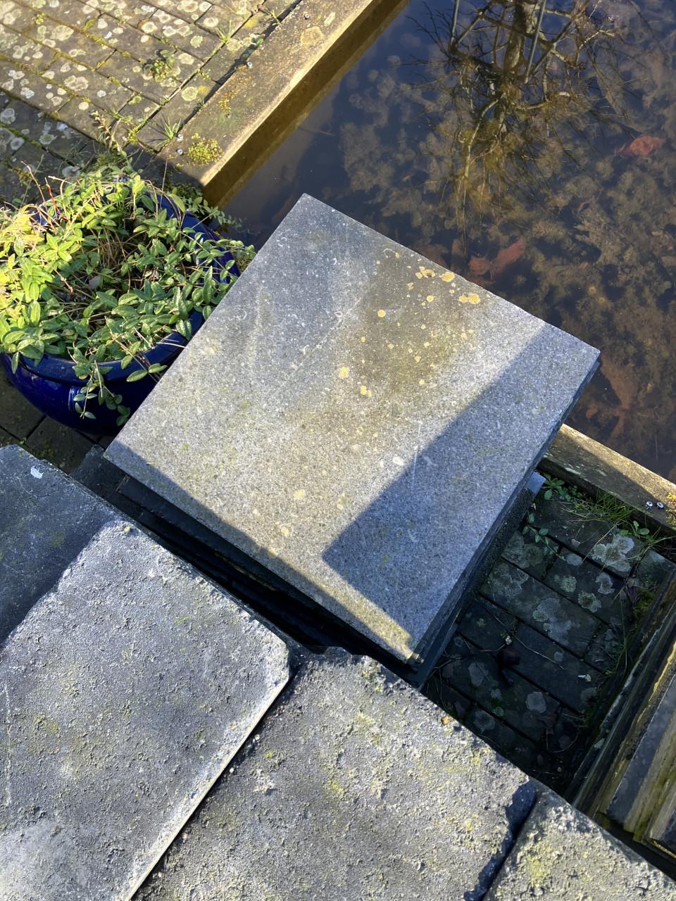 GRATIS ruim >10 m2 Natuurstenen terrastegels grijs 40x40x2,5 voor  terras