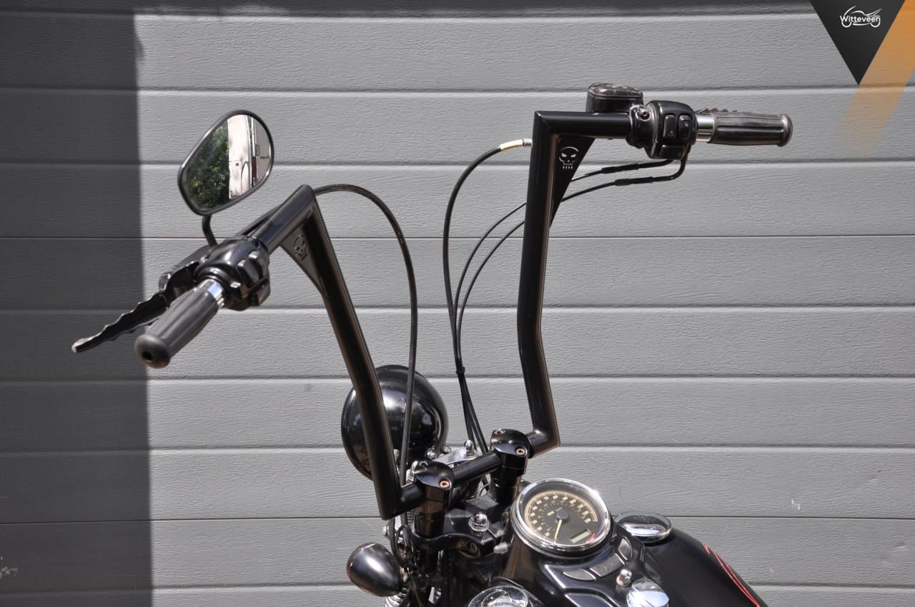 Harley Davidson FLSTSB Cross Bones 96