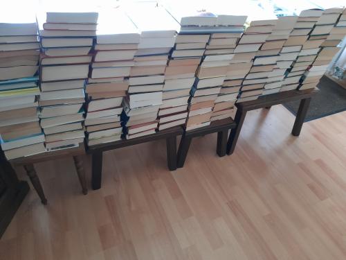 Grote partij boeken