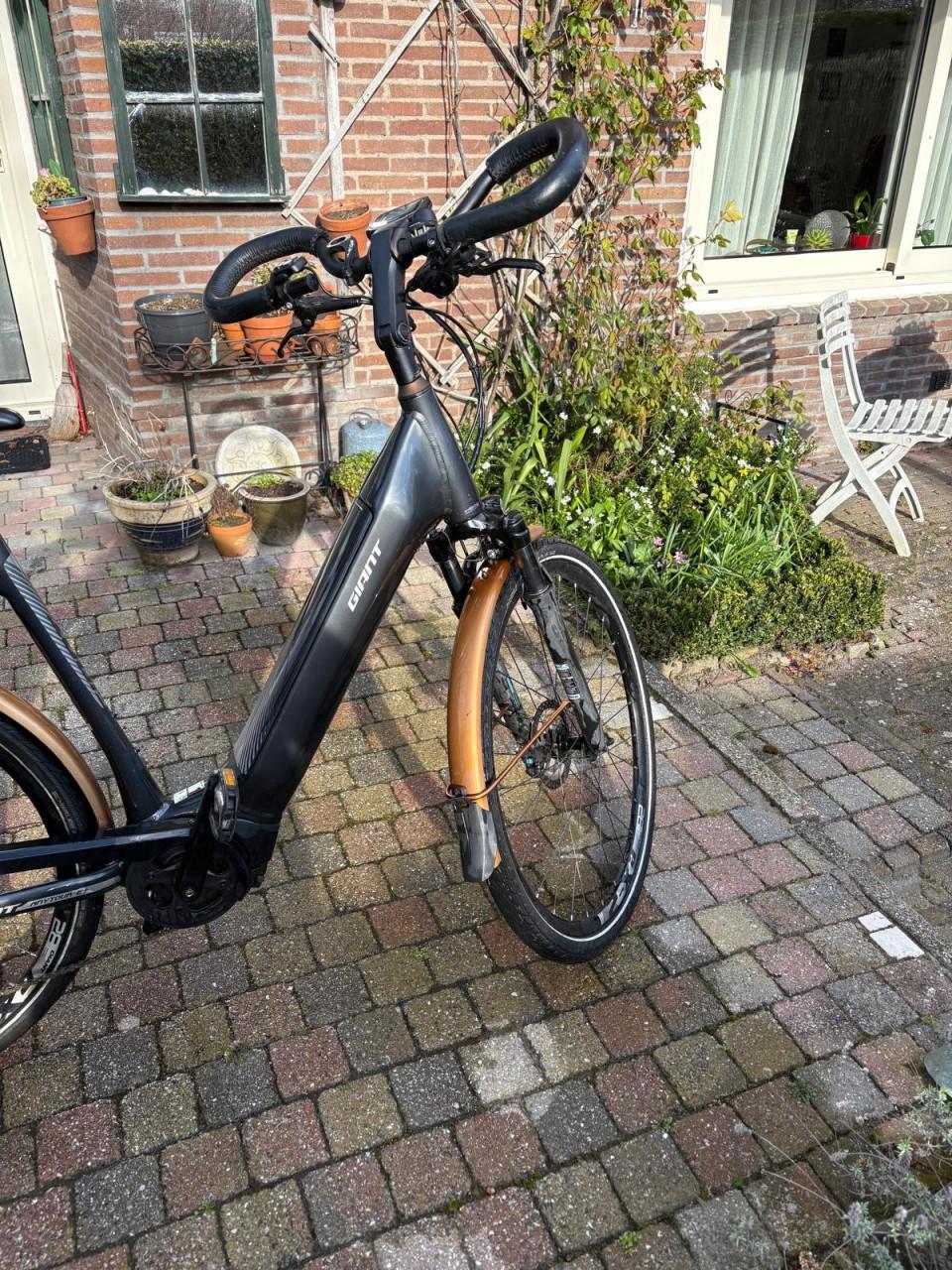 Giant elektrische fiets