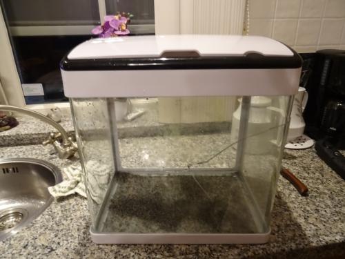 Gratis lekke aquarium op halen ??