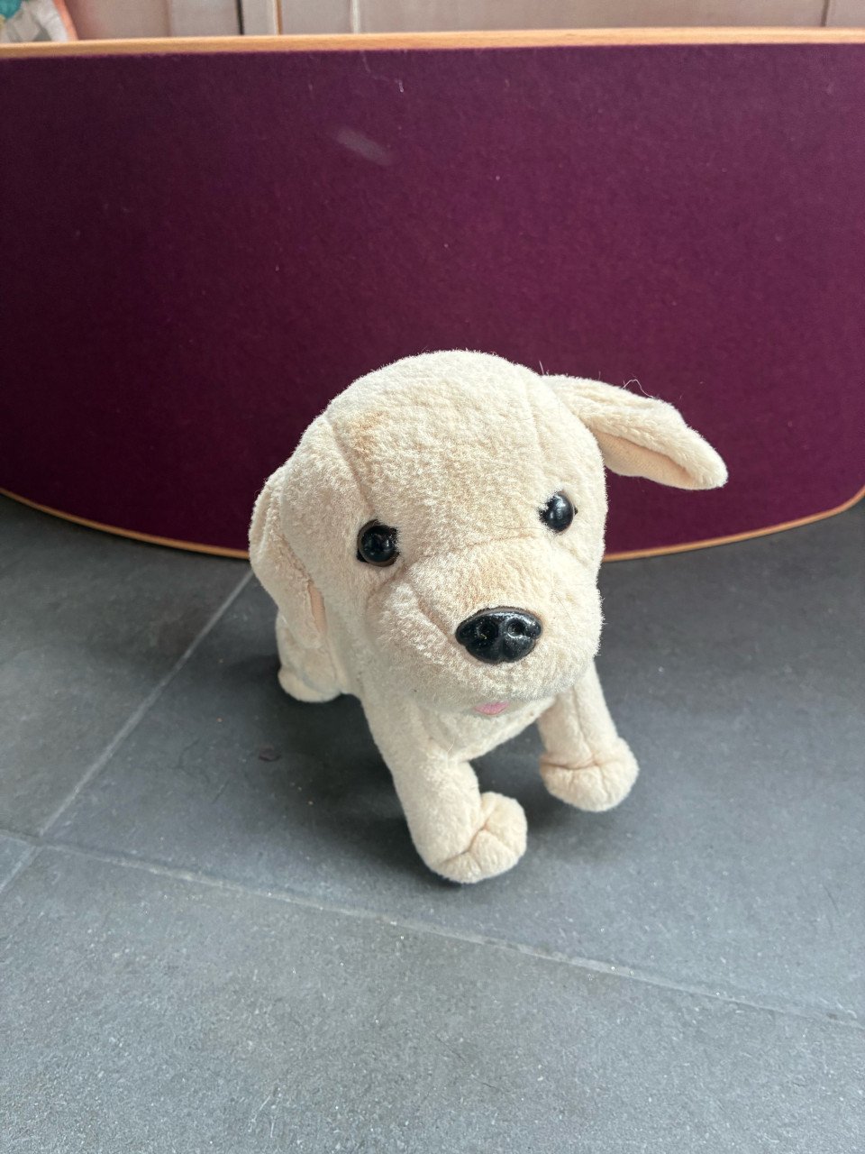 Babyborn hond