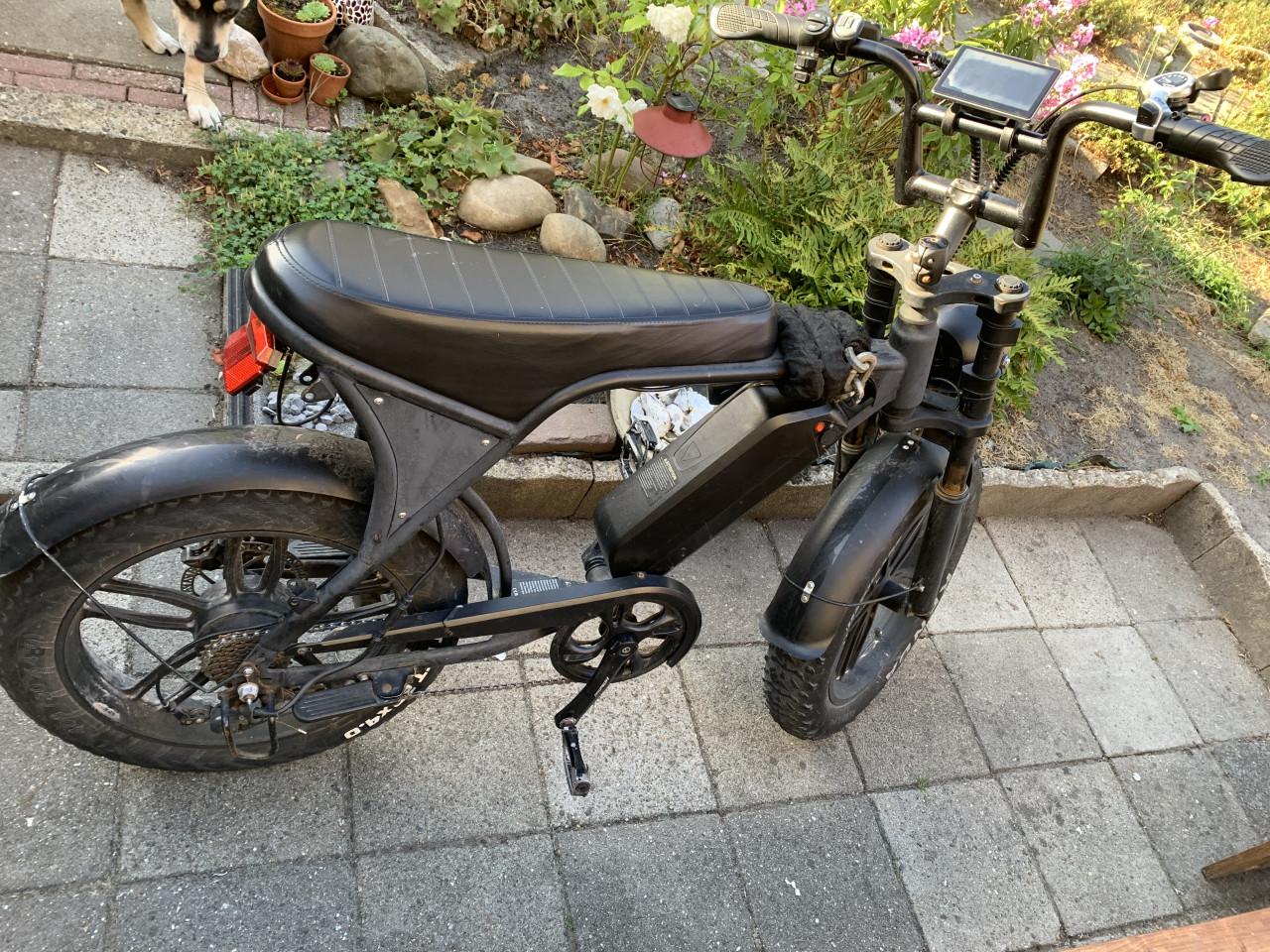 Fatbike