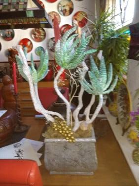 Planten bakken