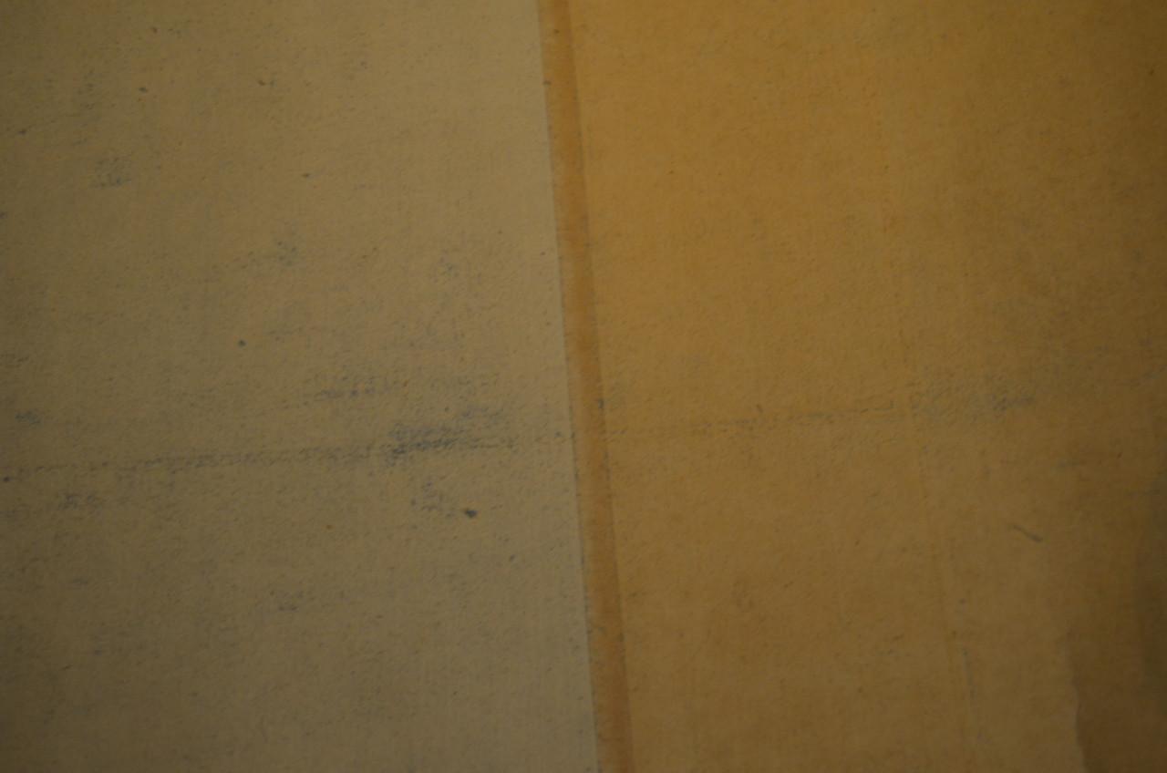 Chinese scroll, Muho, circa 1870  空神 “de god (of geest) van de leegte”