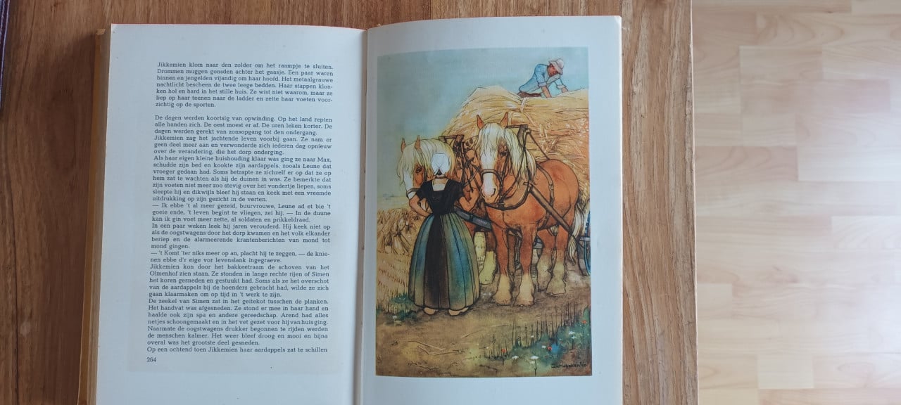 Jikkemien, Zeeuws boek uit 1941 van Dignate Robbertz