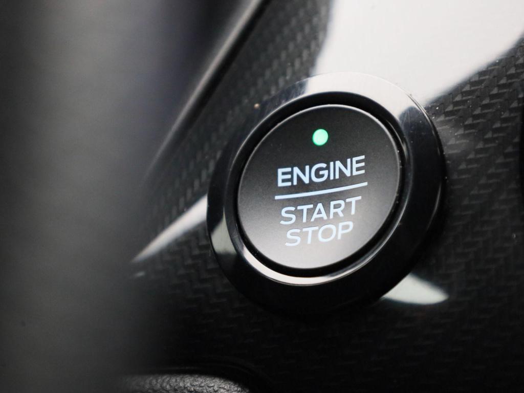 Ford Puma 1.0 ecoboost st-line | cruise control | trekhaak | winterpack | a