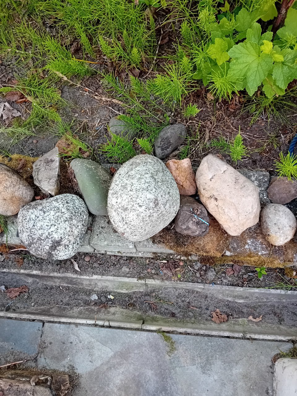 Sierkeien